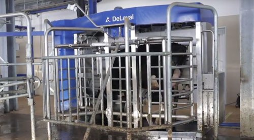 Видео превью