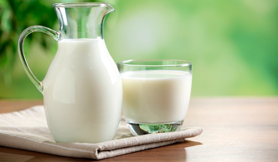 «Из-под коровы» или пастеризованное: какое молоко полезнее?